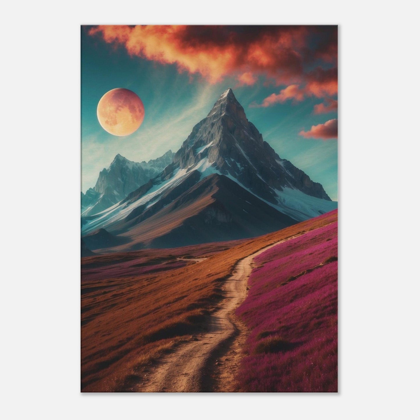 Canvas